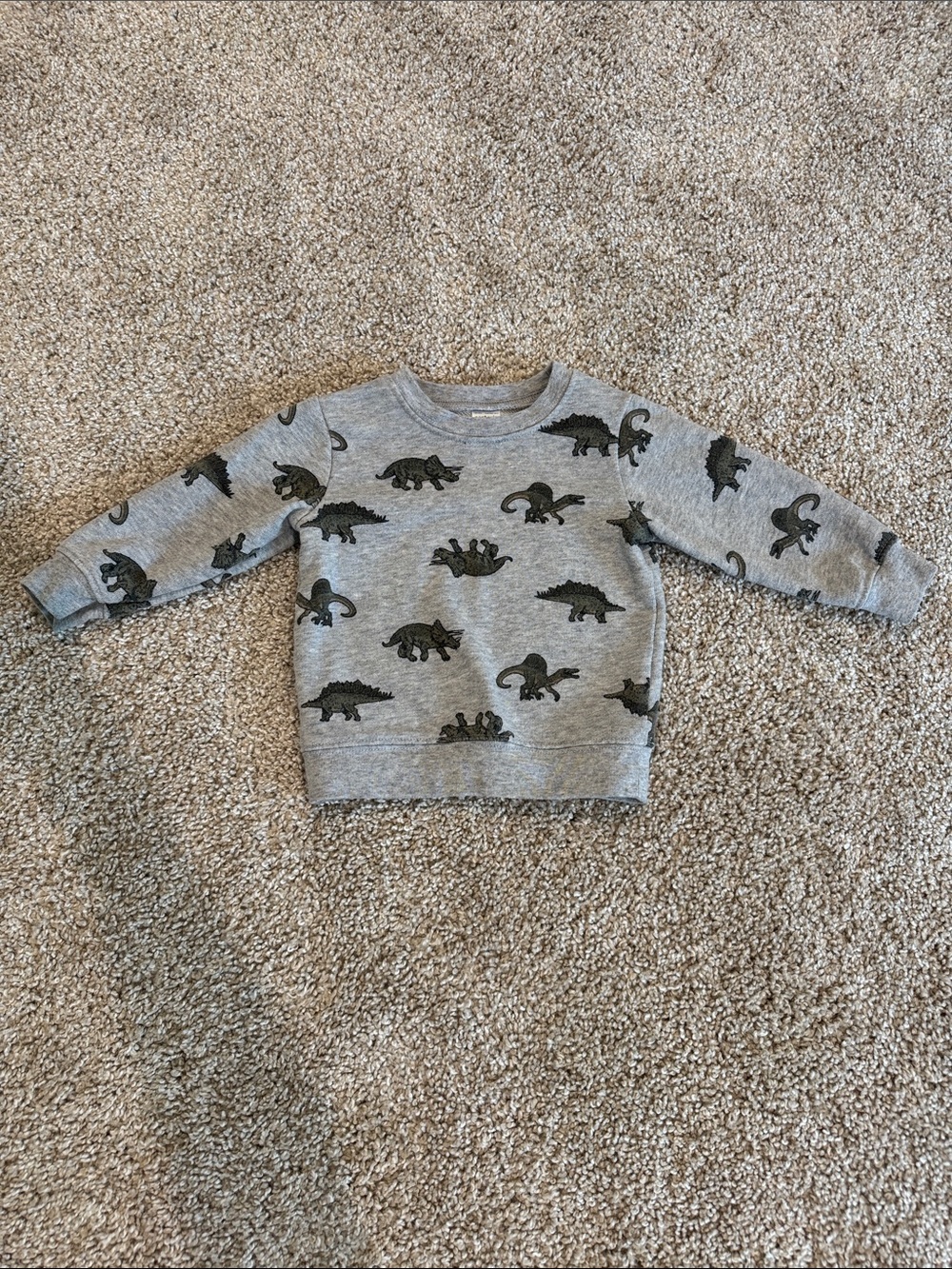 Carter's Gray Sweatshirt with Dark Dinosaur Print